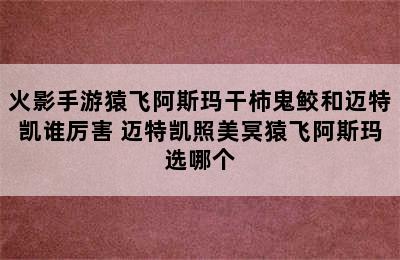 火影手游猿飞阿斯玛干柿鬼鲛和迈特凯谁厉害 迈特凯照美冥猿飞阿斯玛选哪个